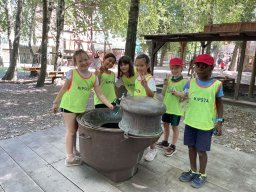 image3019
